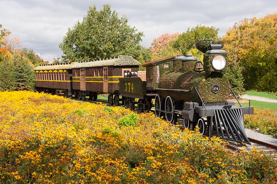 Train Across the Prairies