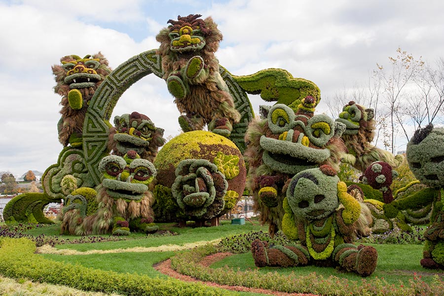 Joyful Celebration of Nine Lions