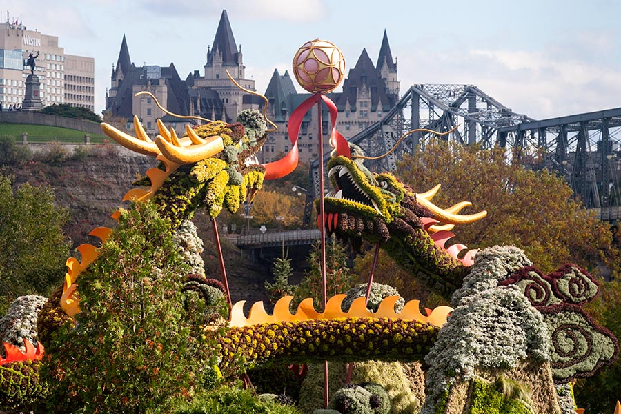 Blessing of the Good Omen Dragons