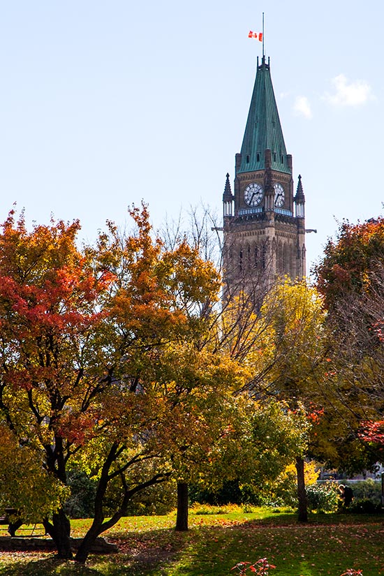 Peace Tower above the Trees