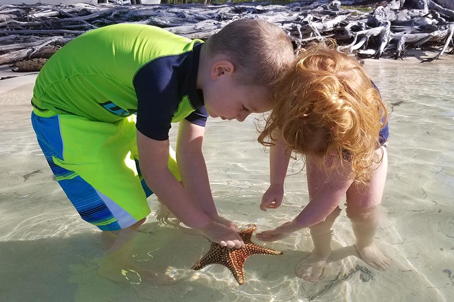 Checking out a Starfish