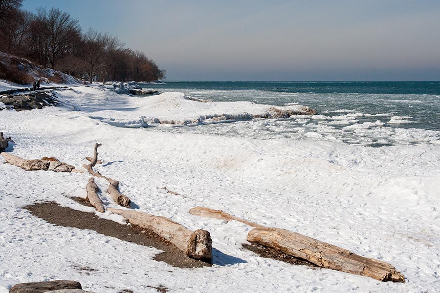Icy Shoreline