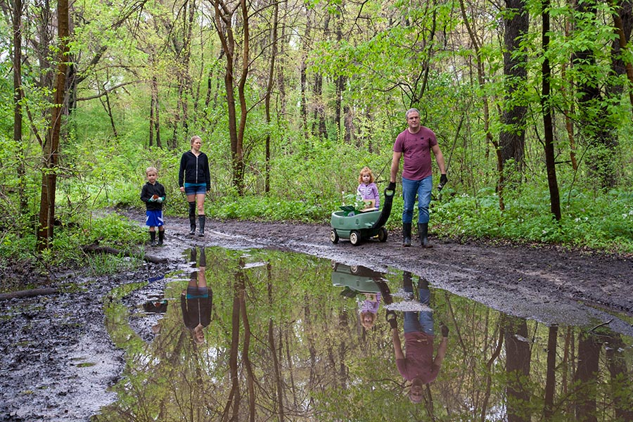 Into the Flooded Forest