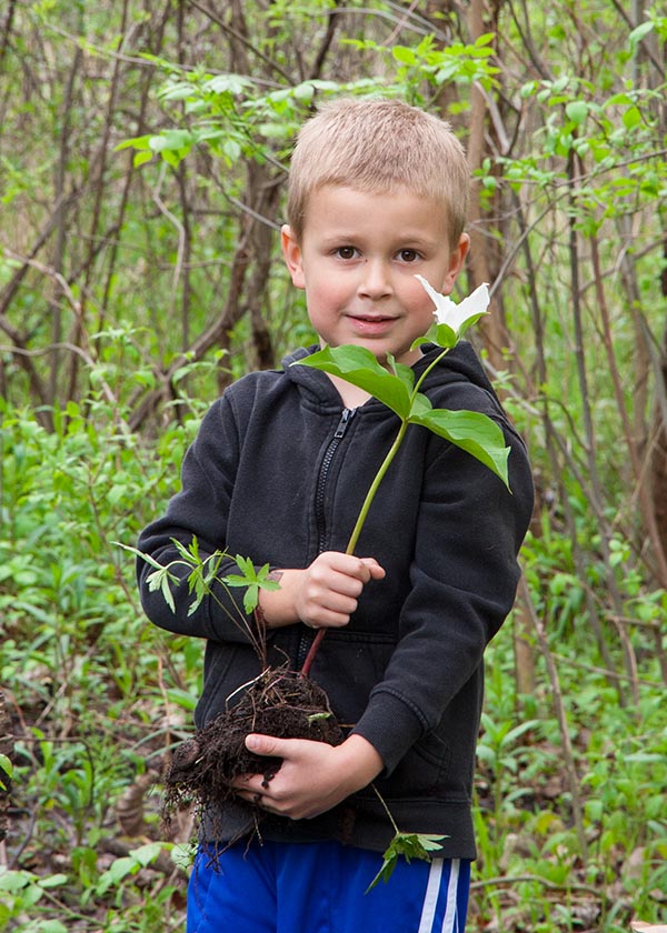 Ready to Plant