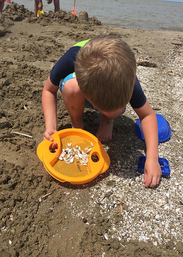 Looking for Shells