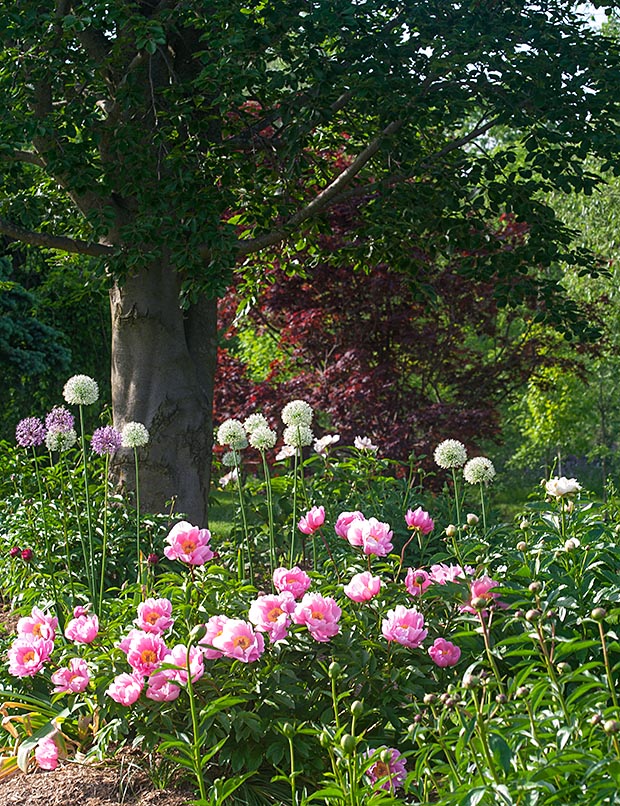 the Gardens