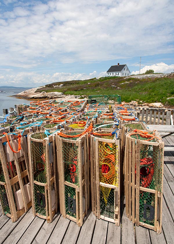 Traps on a Wharf