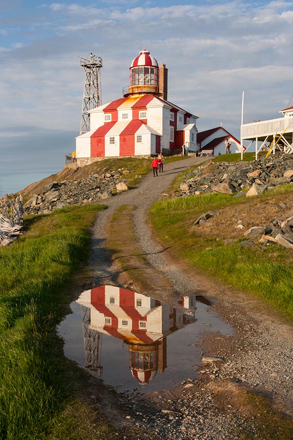 Cape Bonavista Reflection