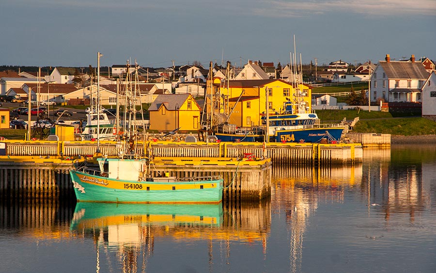 Evening in Bonavista Harbour 
