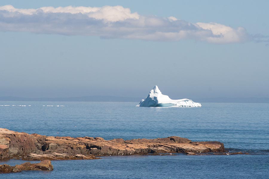 Iceberg off Brownsdale Beach