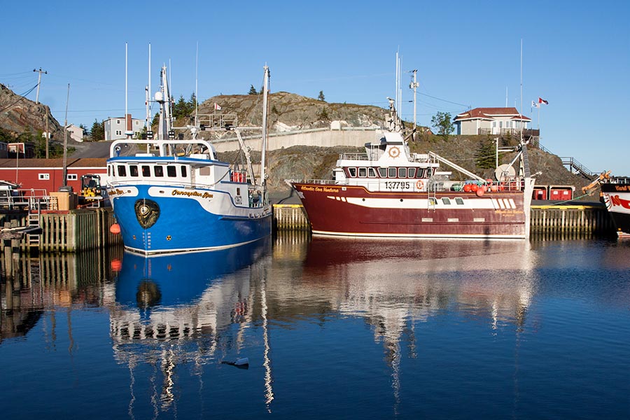 Fishing Boats in Port de Grave