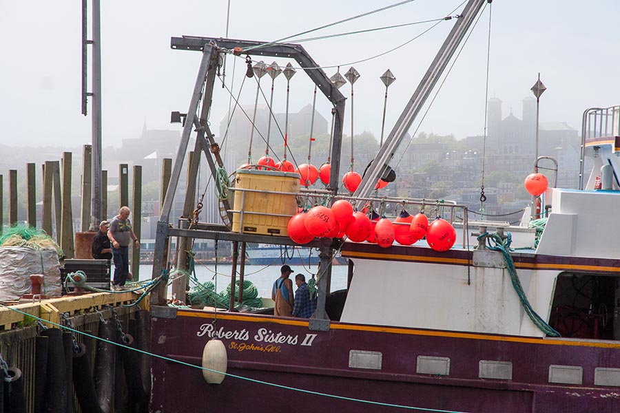 Unloading their Catch