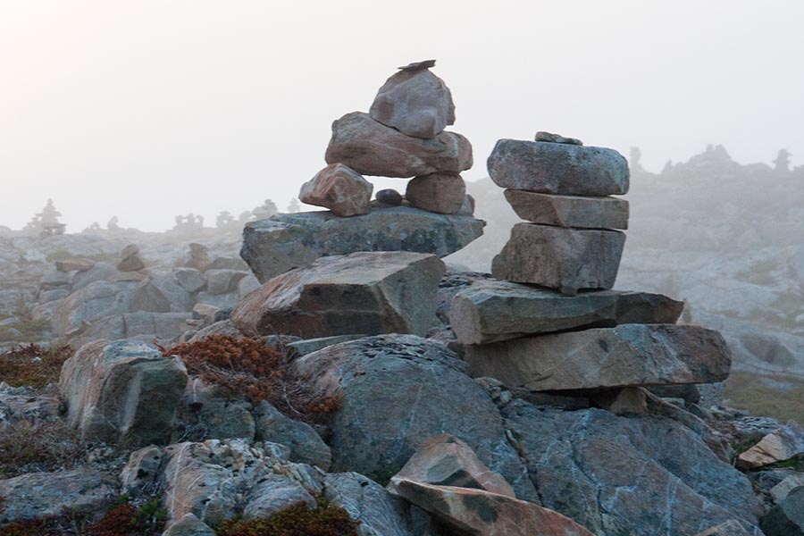 Inushuks in the Fog
