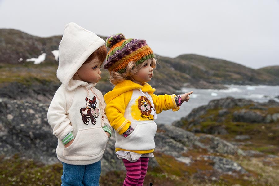"So where's this iceberg they said was here??"