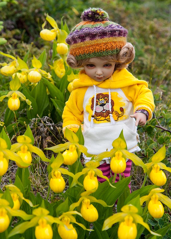 Yellow LadySlippers at port au Choix