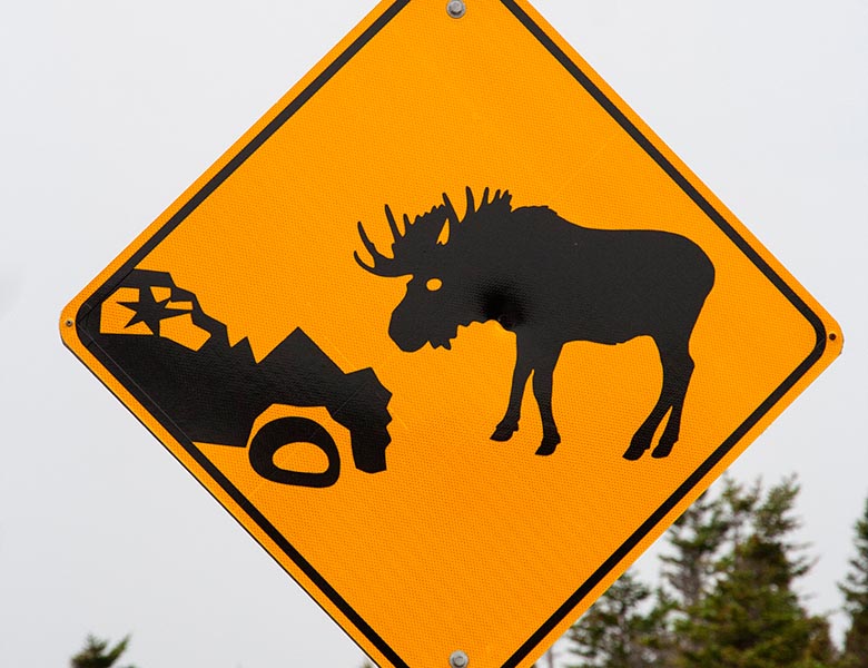 Moose Warning