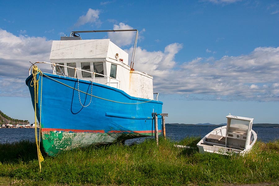 Boats at Frenchman's Cove