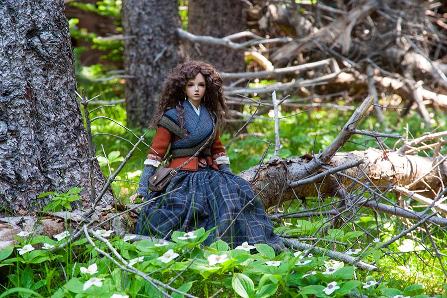 In the Woods