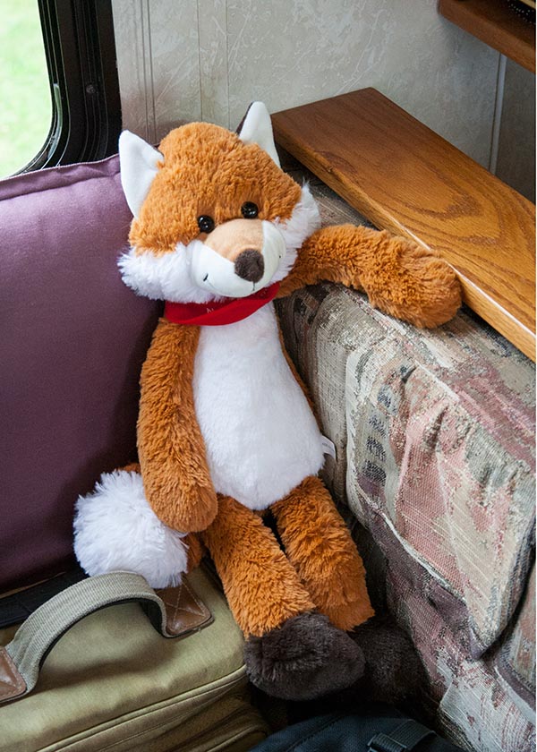 A New Passenger