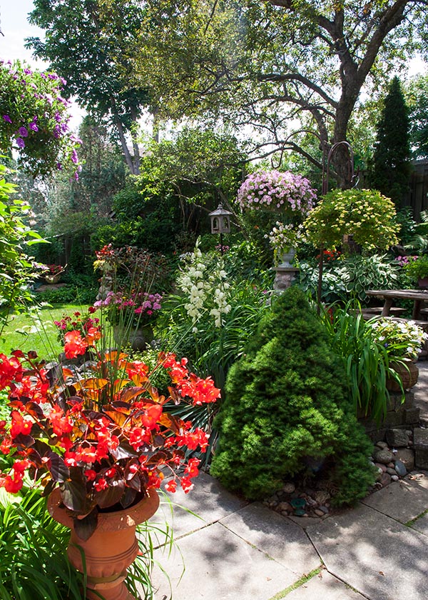 the Backyard