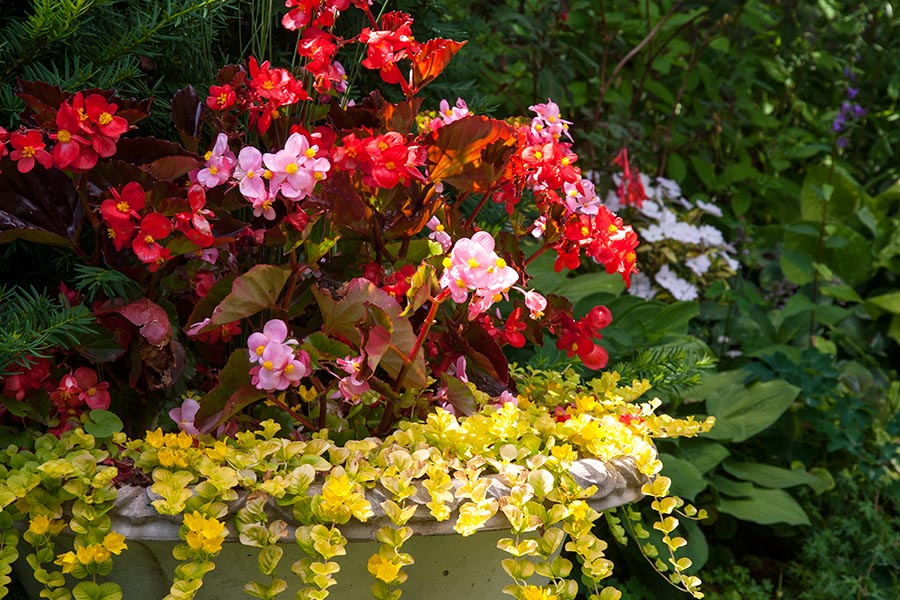 Garden Urn