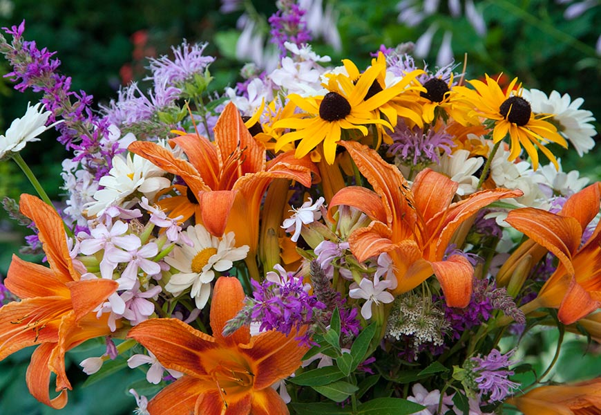 Wildflower Bouquet