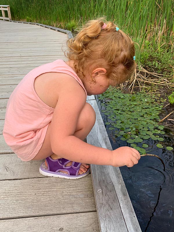 Looking for Fishies....or Frogs.....