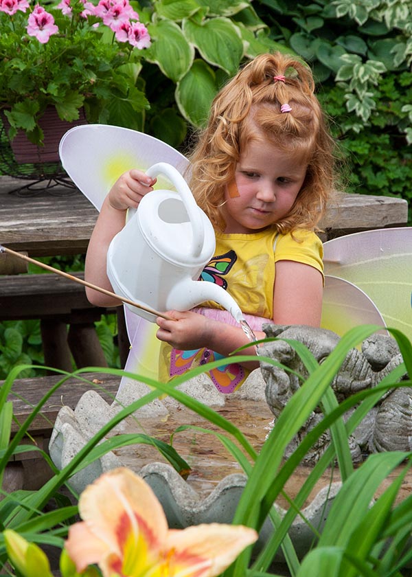 Adding Water to the Bird Bath