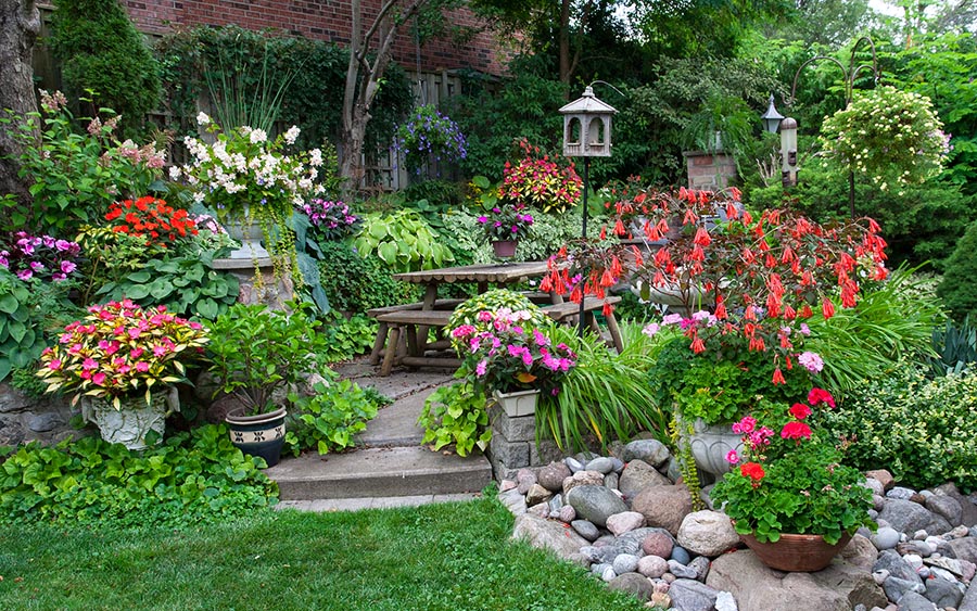 Backyard Garden