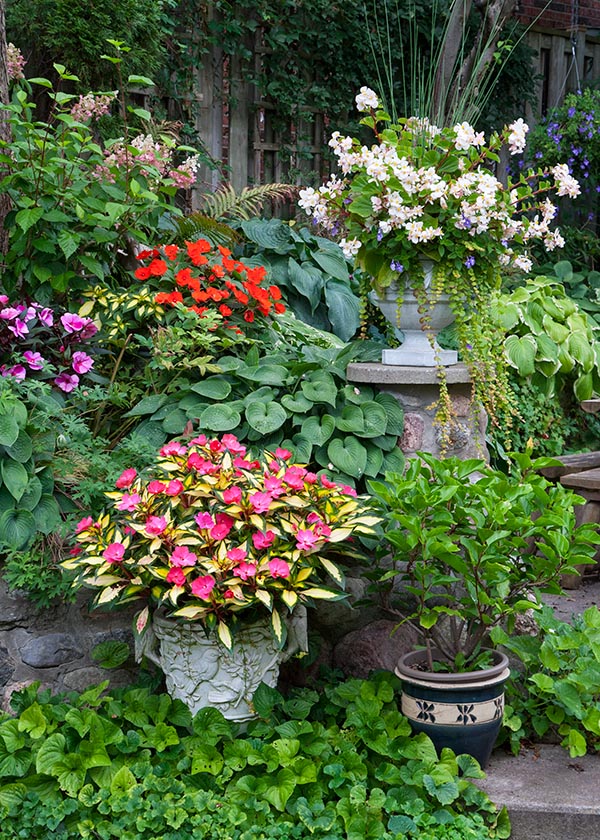 Potted Plants