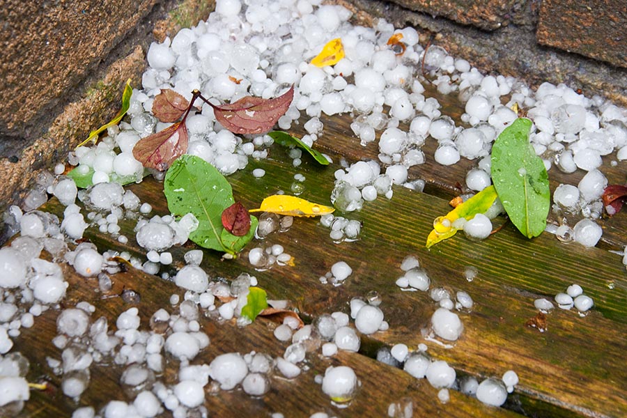 Hail Stones