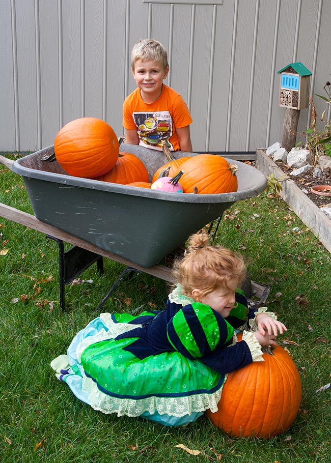 Moving Some Pumpkins