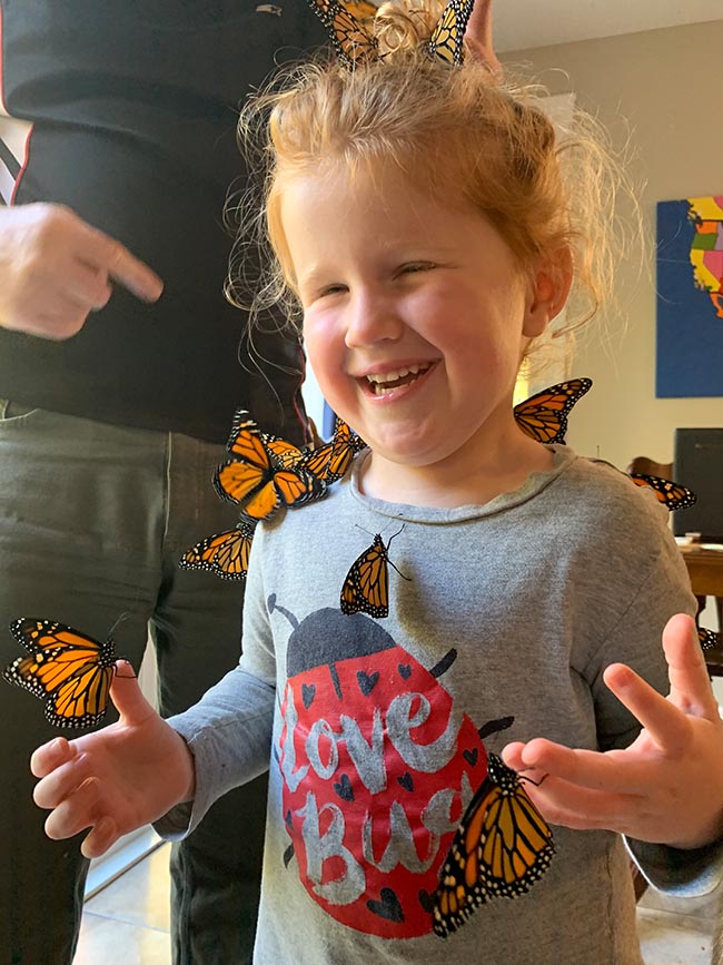 Covered in Butterflies