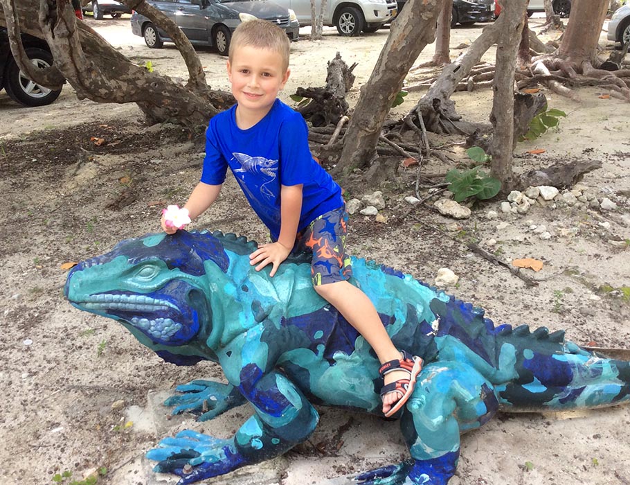 Riding an Iguana