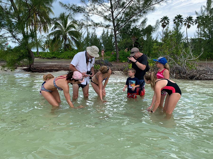 Photographing the Starfish