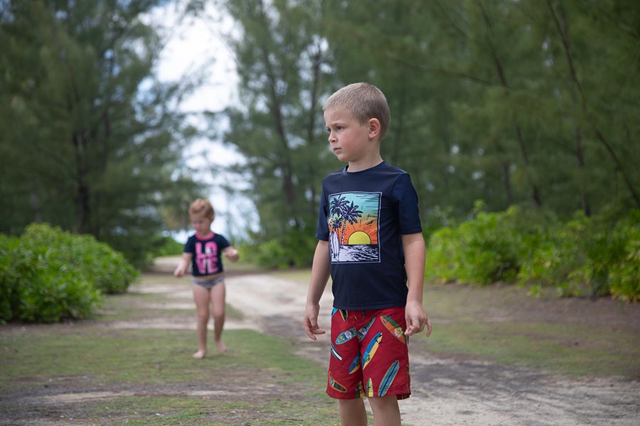 On the Trail from the Shore