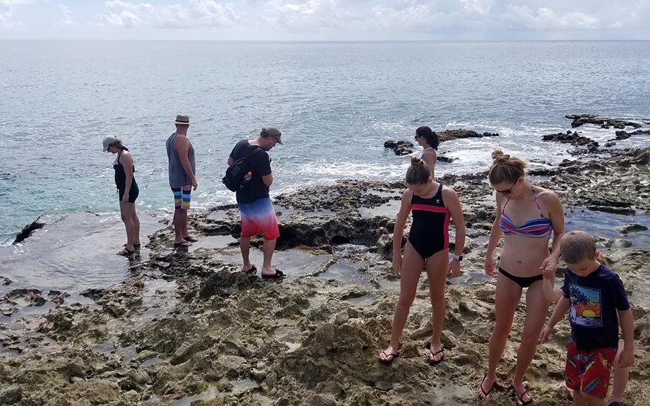 Looking for the Blow Holes