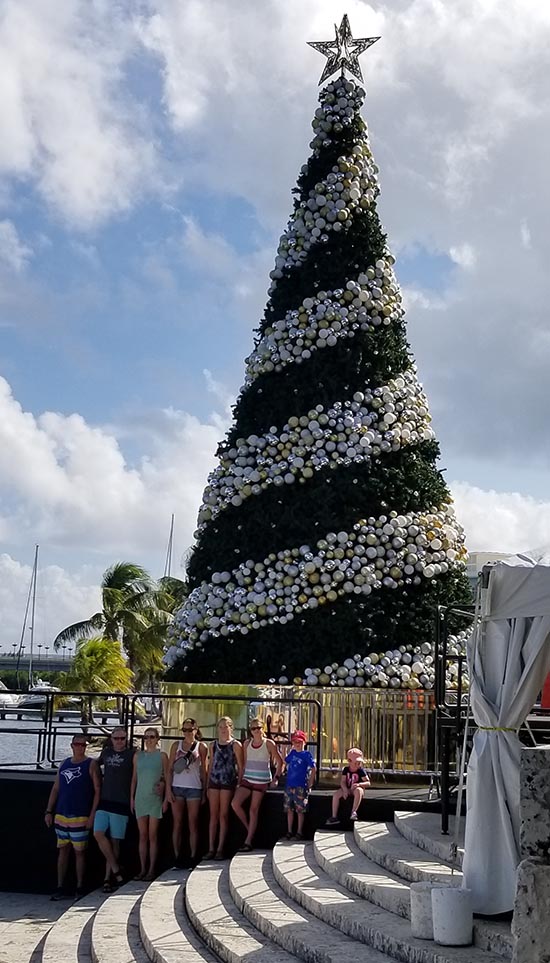 A Giant Christmas Tree 