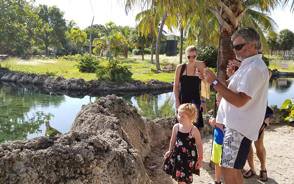 Checking Out an Iguana at the Turtle Farm
