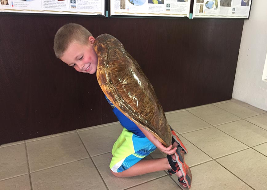 Trying a Shell on for Size