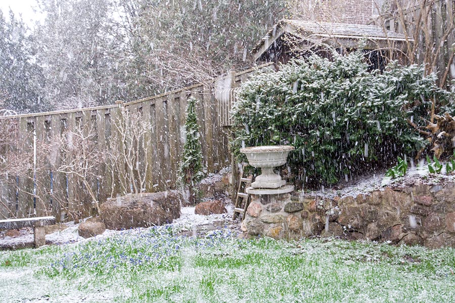 Mini Blizzard