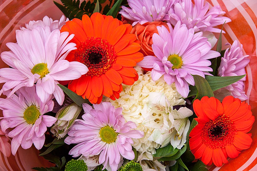Flowers for Jan