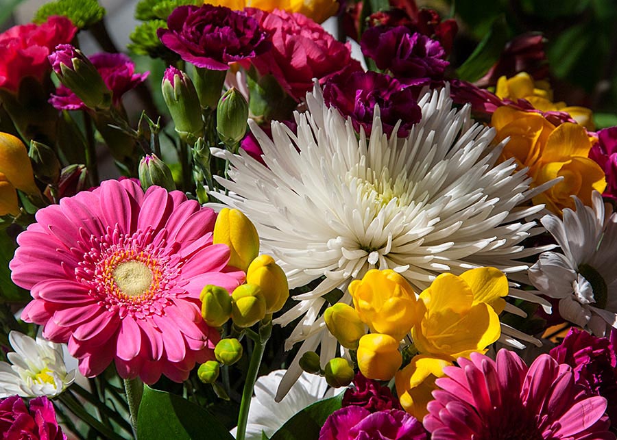 Birthday Flowers