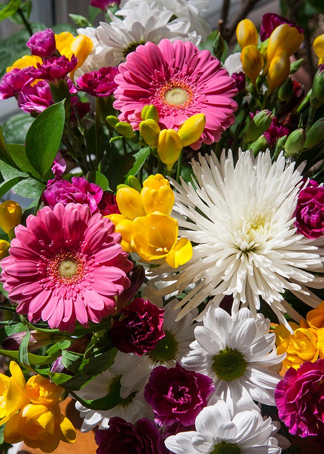 Birthday Flowers