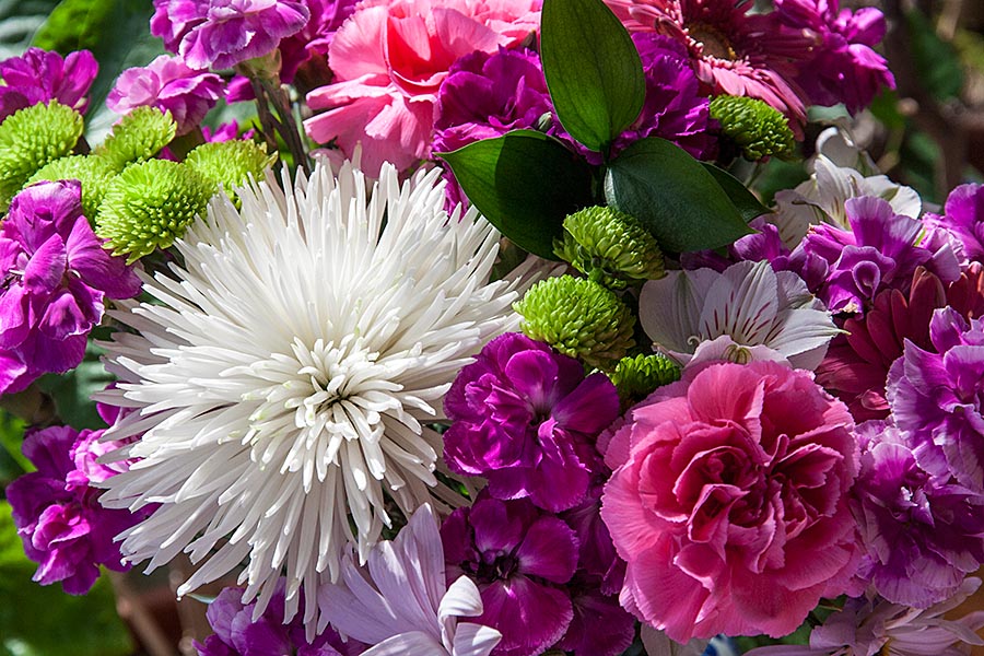 Last of the Birthday Flowers