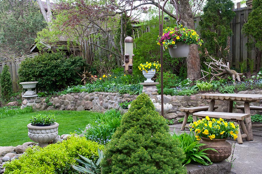 the Backyard