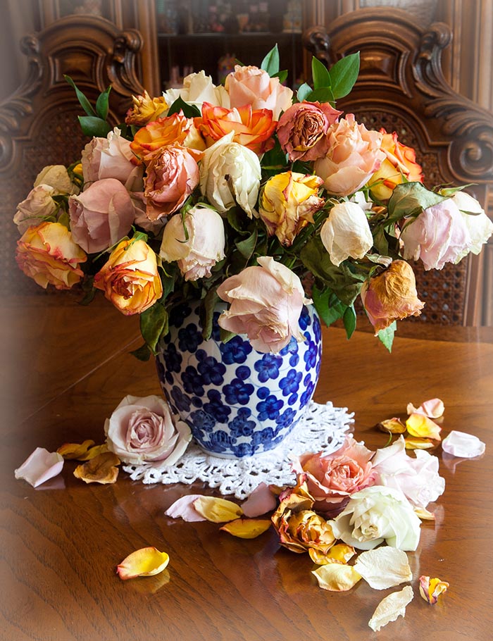 Faded Roses