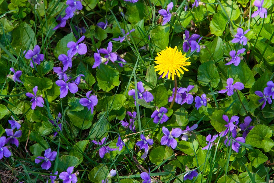 Standing Out in a Crowd