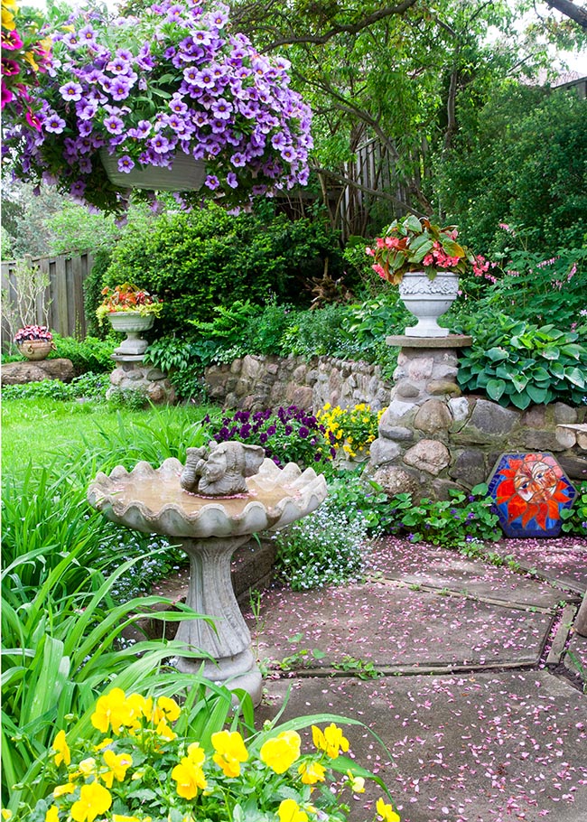 the Backyard