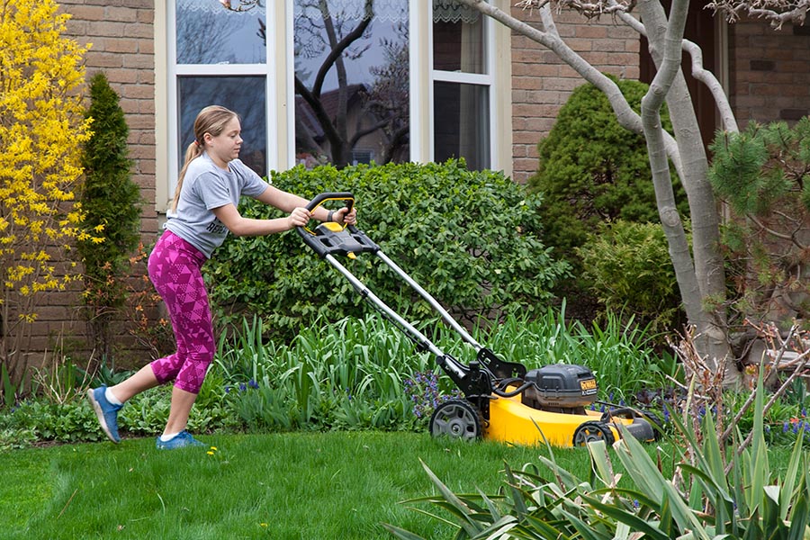 Our New Landscaping Service